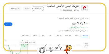 سعر سهم البحر الاحمر "محدث" لحظة بلحظة