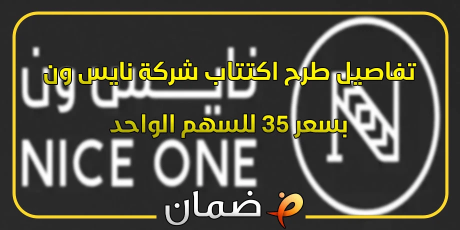 تفاصيل طرح اكتتاب شركة نايس ون بسعر 35 للسهم الواحد