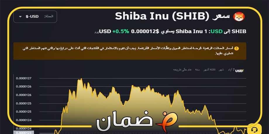 عملات رقمية رخيصة لها مستقبل